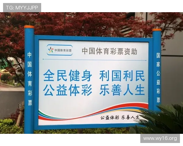 6T体育：探索现代体育创新与全民健身的未来路径